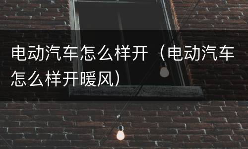 电动汽车怎么样开（电动汽车怎么样开暖风）
