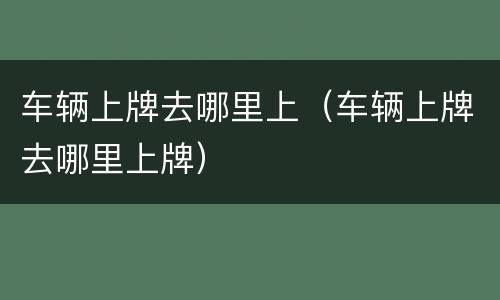 车辆上牌去哪里上（车辆上牌去哪里上牌）