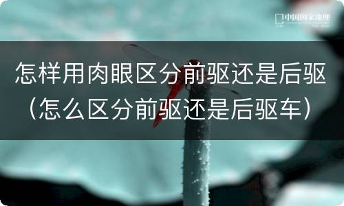 怎样用肉眼区分前驱还是后驱（怎么区分前驱还是后驱车）