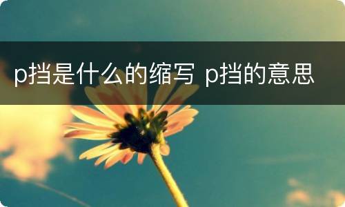p挡是什么的缩写 p挡的意思