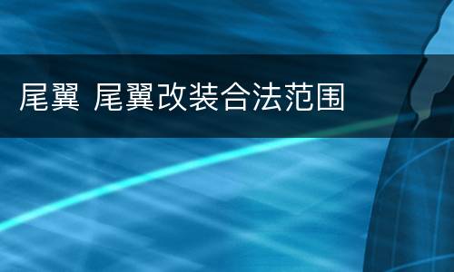 尾翼 尾翼改装合法范围