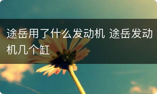 途岳用了什么发动机 途岳发动机几个缸