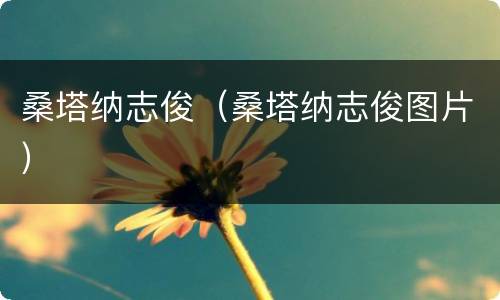 桑塔纳志俊（桑塔纳志俊图片）