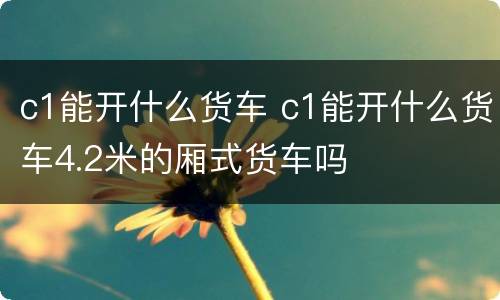 c1能开什么货车 c1能开什么货车4.2米的厢式货车吗