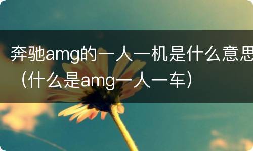 奔驰amg的一人一机是什么意思（什么是amg一人一车）