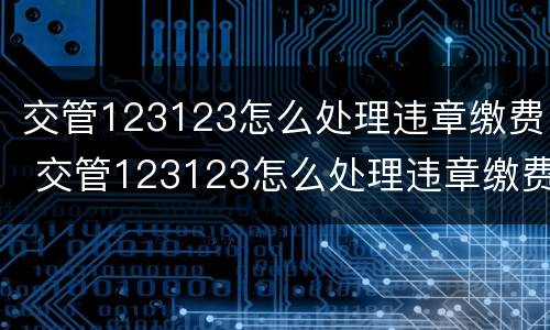 交管123123怎么处理违章缴费 交管123123怎么处理违章缴费记录