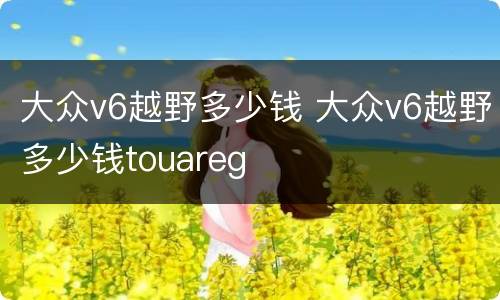 大众v6越野多少钱 大众v6越野多少钱touareg