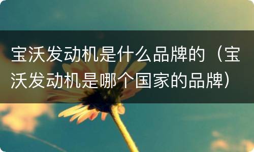 宝沃发动机是什么品牌的（宝沃发动机是哪个国家的品牌）