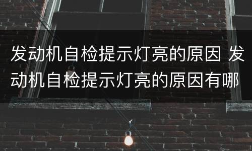 发动机自检提示灯亮的原因 发动机自检提示灯亮的原因有哪些