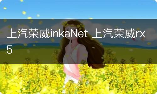 上汽荣威inkaNet 上汽荣威rx5