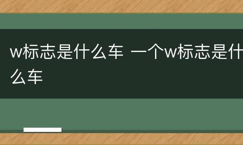 w标志是什么车 一个w标志是什么车