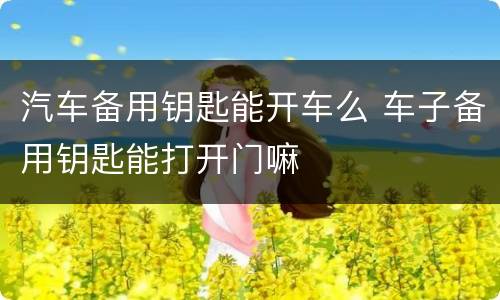 汽车备用钥匙能开车么 车子备用钥匙能打开门嘛
