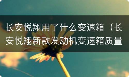 长安悦翔用了什么变速箱（长安悦翔新款发动机变速箱质量怎么样）
