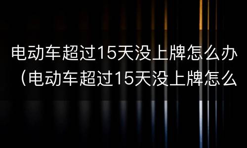 电动车超过15天没上牌怎么办（电动车超过15天没上牌怎么办啊）