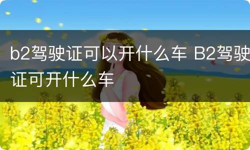 b2驾驶证可以开什么车 B2驾驶证可开什么车