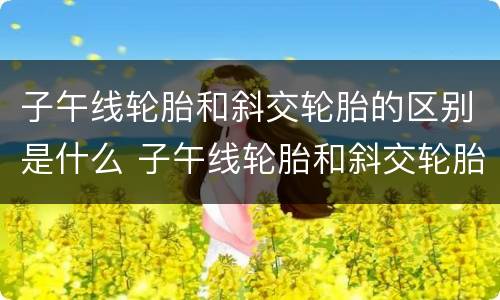 子午线轮胎和斜交轮胎的区别是什么 子午线轮胎和斜交轮胎有什么区别
