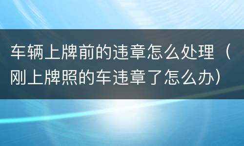 车辆上牌前的违章怎么处理（刚上牌照的车违章了怎么办）