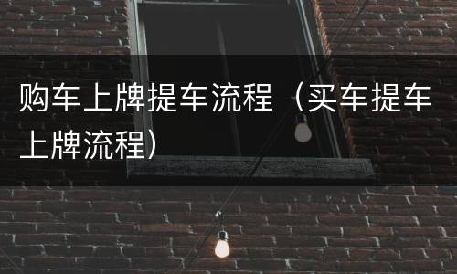 购车上牌提车流程（买车提车上牌流程）