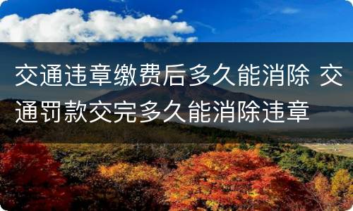 交通违章缴费后多久能消除 交通罚款交完多久能消除违章