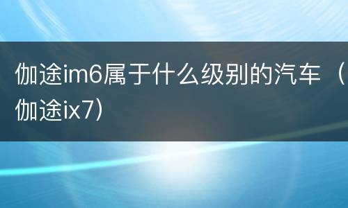 伽途im6属于什么级别的汽车（伽途ix7）