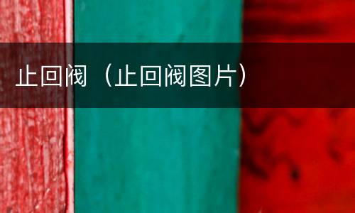 止回阀（止回阀图片）
