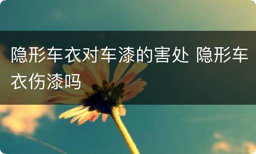 隐形车衣对车漆的害处 隐形车衣伤漆吗