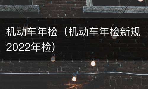 机动车年检（机动车年检新规2022年检）