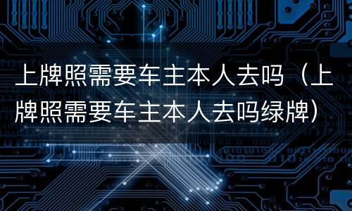 上牌照需要车主本人去吗（上牌照需要车主本人去吗绿牌）