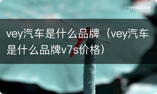 vey汽车是什么品牌（vey汽车是什么品牌v7s价格）