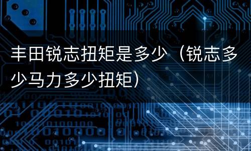 丰田锐志扭矩是多少（锐志多少马力多少扭矩）