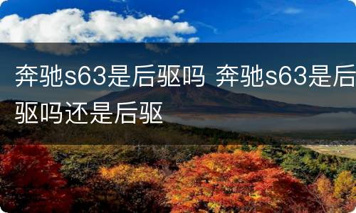 奔驰s63是后驱吗 奔驰s63是后驱吗还是后驱