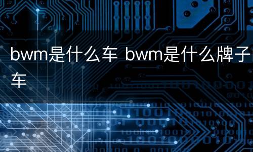 bwm是什么车 bwm是什么牌子的车