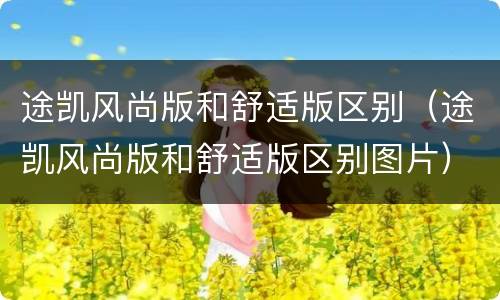 途凯风尚版和舒适版区别（途凯风尚版和舒适版区别图片）
