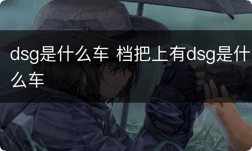 dsg是什么车 档把上有dsg是什么车