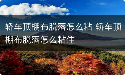 轿车顶棚布脱落怎么粘 轿车顶棚布脱落怎么粘住