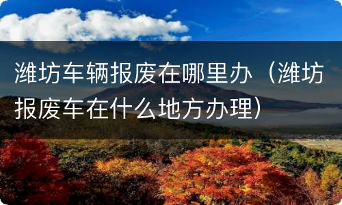 潍坊车辆报废在哪里办（潍坊报废车在什么地方办理）
