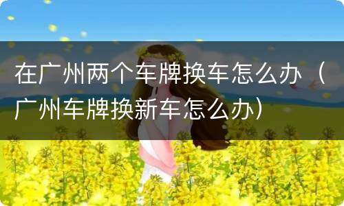 在广州两个车牌换车怎么办（广州车牌换新车怎么办）