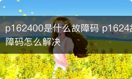 p162400是什么故障码 p1624故障码怎么解决