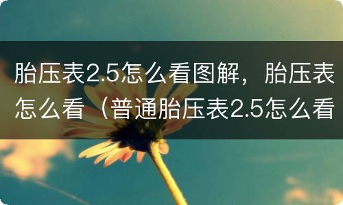 胎压表2.5怎么看图解，胎压表怎么看（普通胎压表2.5怎么看图解）