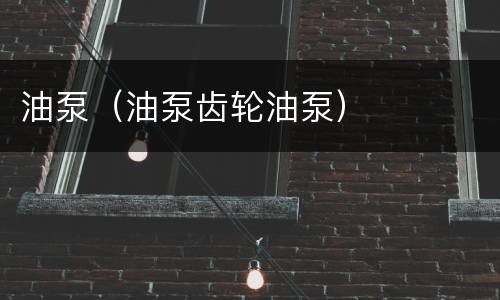油泵（油泵齿轮油泵）