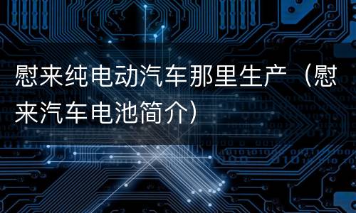 慰来纯电动汽车那里生产（慰来汽车电池简介）
