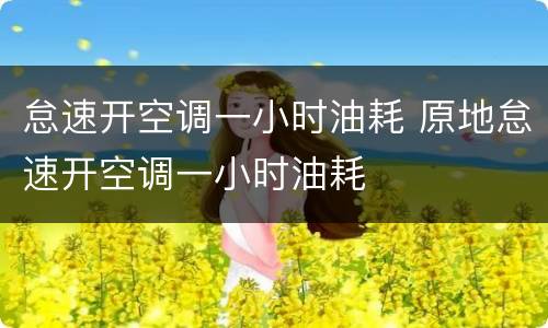 怠速开空调一小时油耗 原地怠速开空调一小时油耗