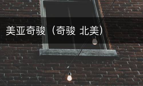 美亚奇骏（奇骏 北美）