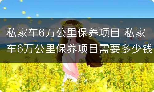 私家车6万公里保养项目 私家车6万公里保养项目需要多少钱