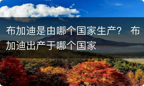 布加迪是由哪个国家生产？ 布加迪出产于哪个国家