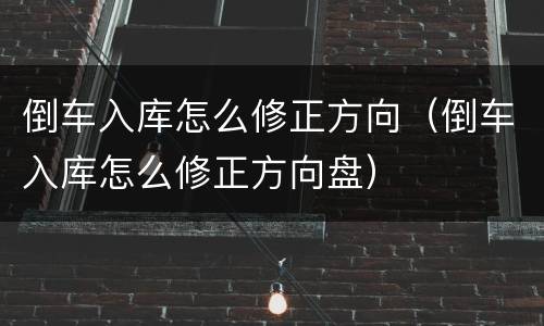 倒车入库怎么修正方向（倒车入库怎么修正方向盘）