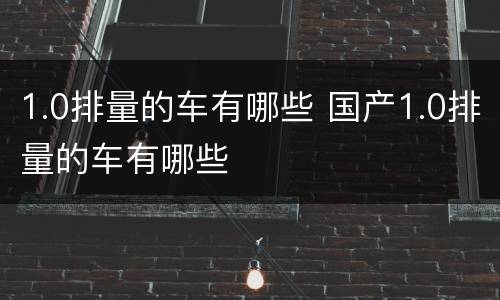 1.0排量的车有哪些 国产1.0排量的车有哪些