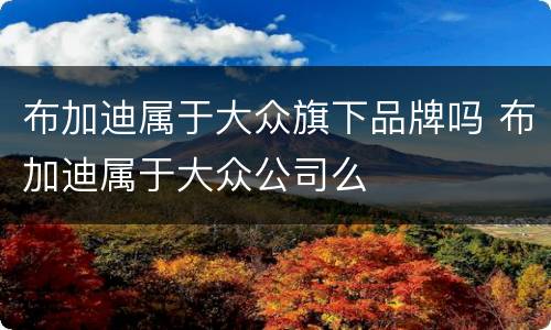 布加迪属于大众旗下品牌吗 布加迪属于大众公司么