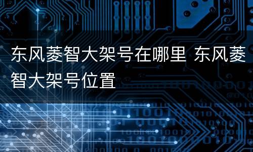 东风菱智大架号在哪里 东风菱智大架号位置