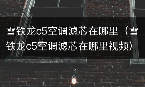 雪铁龙c5空调滤芯在哪里（雪铁龙c5空调滤芯在哪里视频）